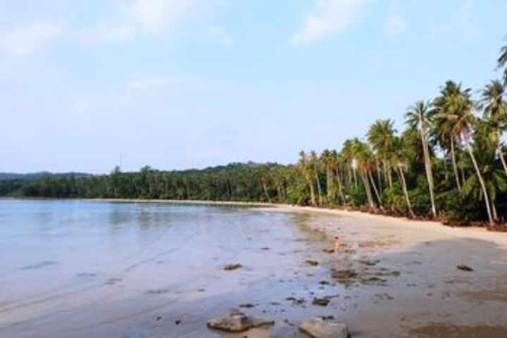 Beach or Ocean View