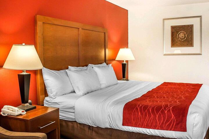1 King Bed (12 of 16)