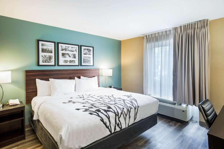 1 King Bed Pet Friendly (2 of 20)