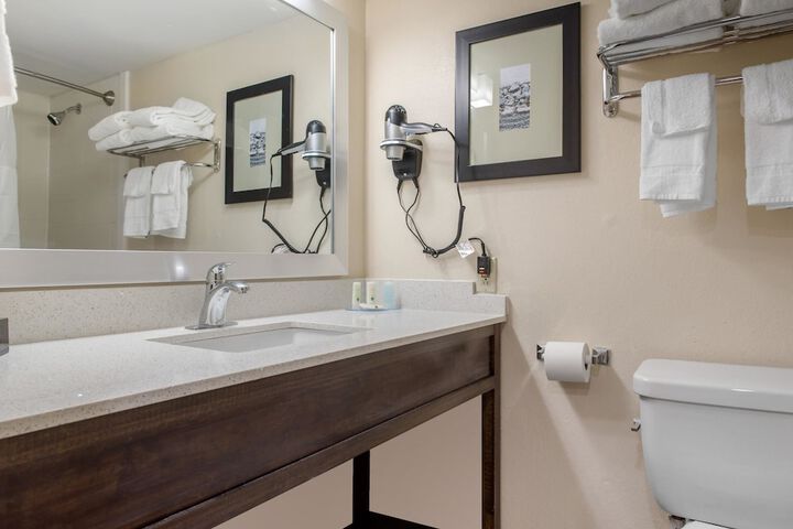 1 King Bed Accessible (8 of 20)