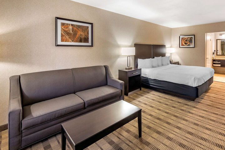 1 King Bed (3 of 14)
