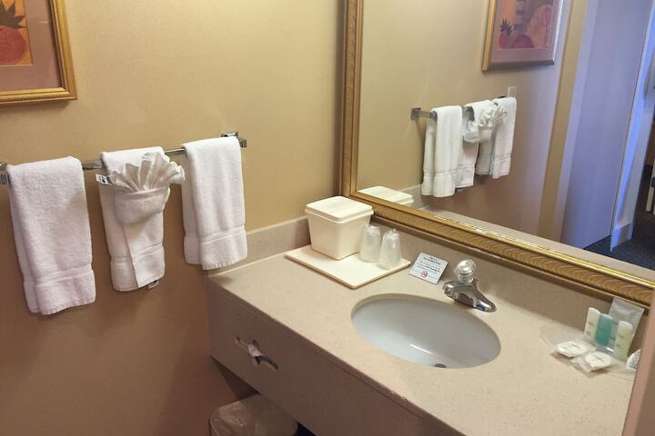 1 King Bed Suite (8 of 14)