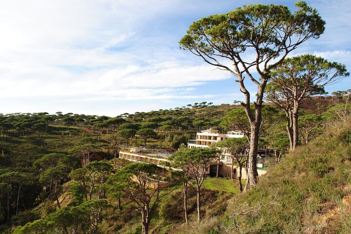 Pineland Hotel and Health Resort