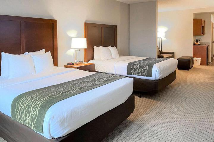 Standard Room, King or Two Doubles (2 of 3)