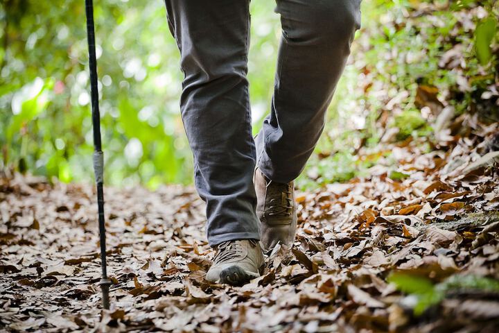 Hiking