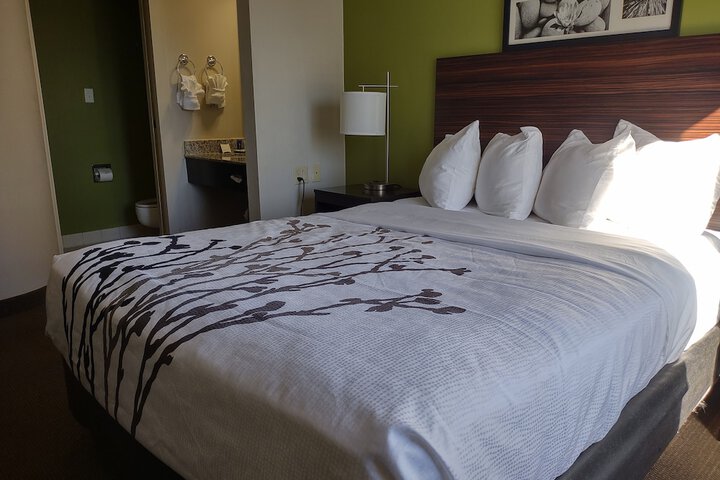 Queen Bed Accessible (2 of 15)