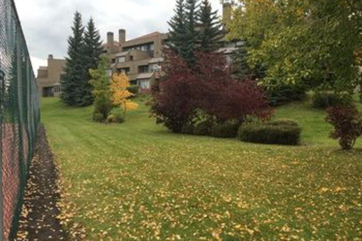 Property Grounds 52 of 56