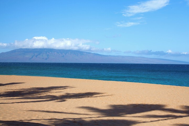 Beach 229 of 246