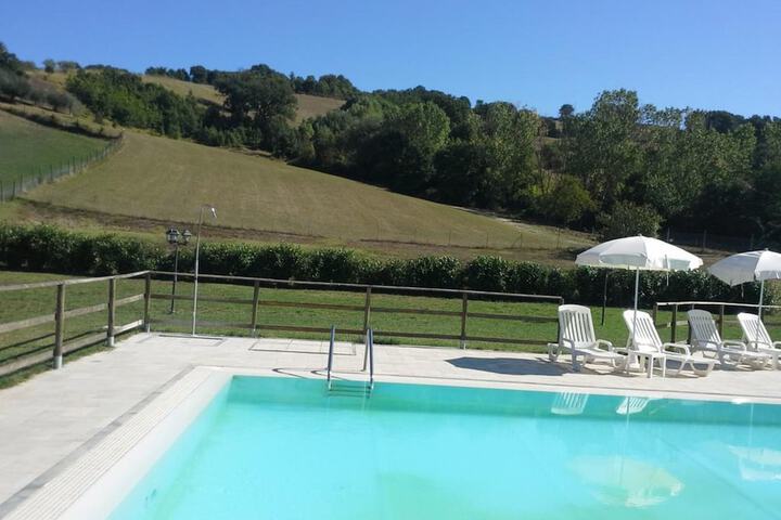 Pool 8 of 23