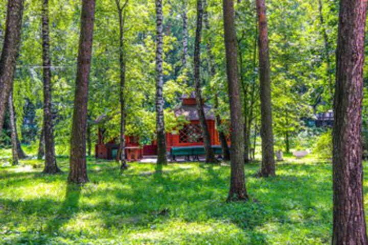 Property Grounds 21 of 52