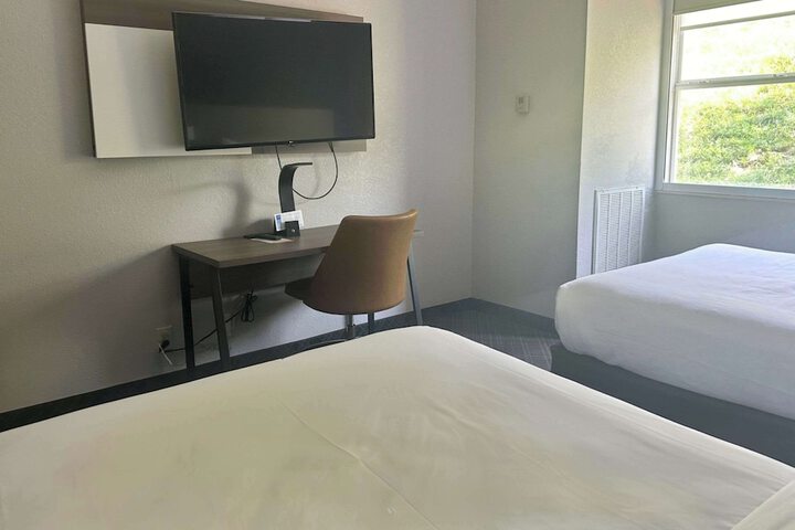 Suite King Bed Accessible (11 of 12)