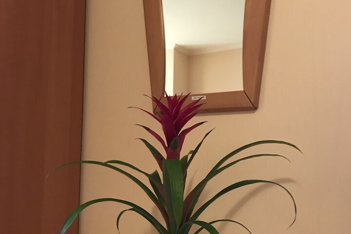 Room 19 of 89