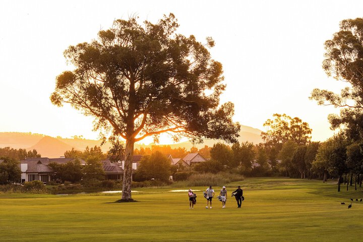 Golf 43 of 71