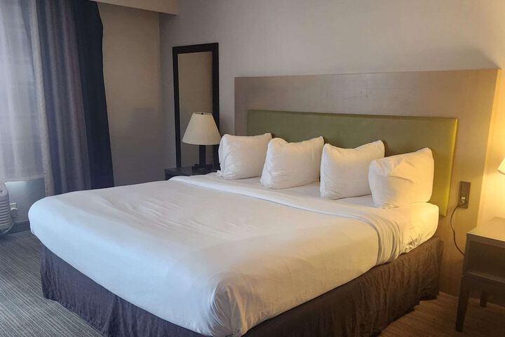 1 King Bed Accessible (12 of 13)