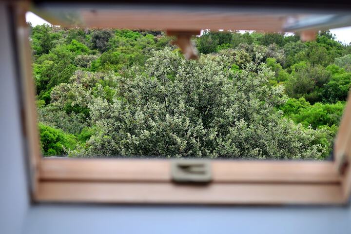 Room 20 of 193