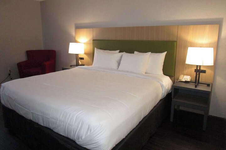 1 King Bed Accessible (10 of 14)