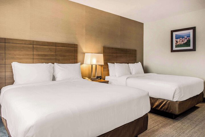 Standard Room, King or Two Doubles (3 of 16)