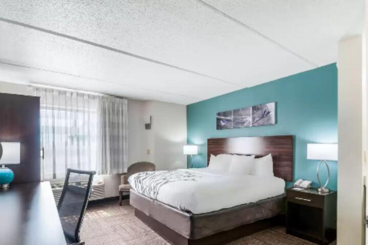 1 King Bed (4 of 10)