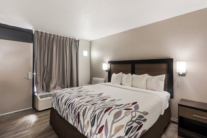 Deluxe King Bed (7 of 10)