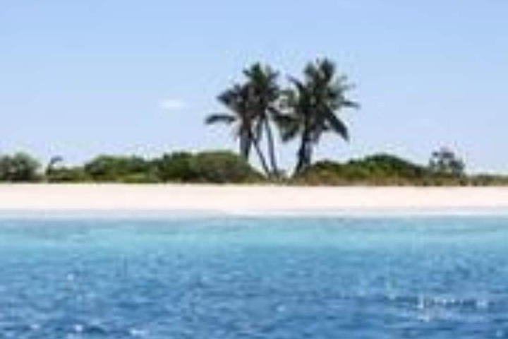 Beach 15 of 19