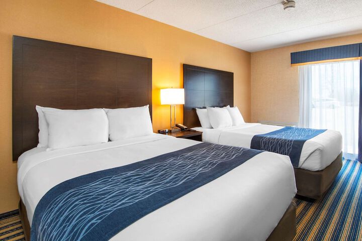 2 Queen Beds (1 of 8)