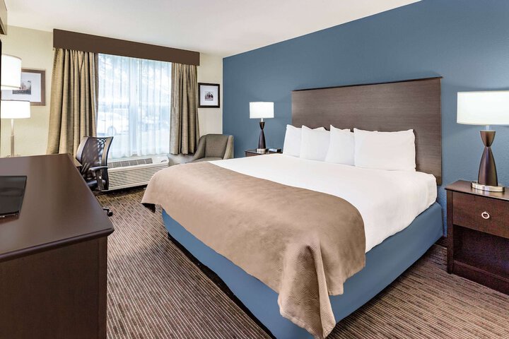 1 King Bed (6 of 12)