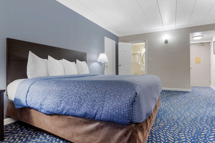 1 King Bed (3 of 8)