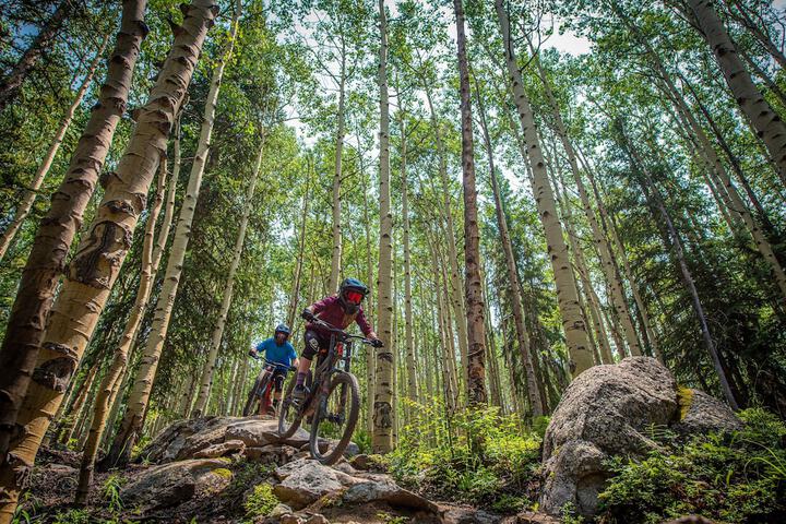 Property Grounds 18 of 22