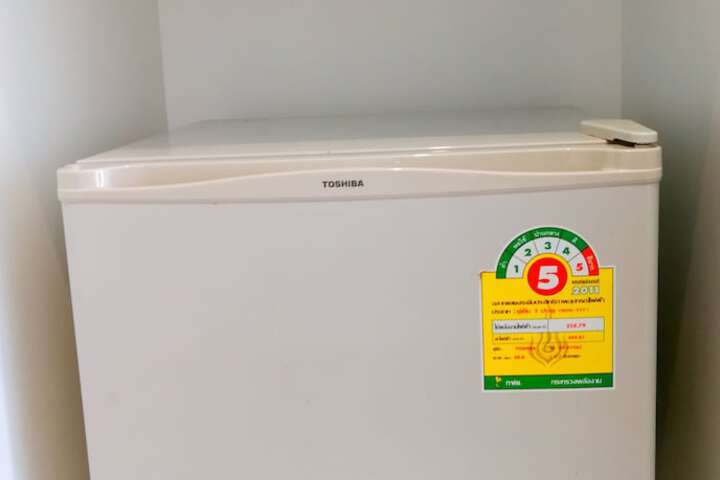 Mini-refrigerator