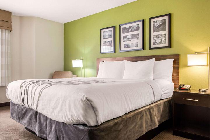 1 King Bed (10 of 14)