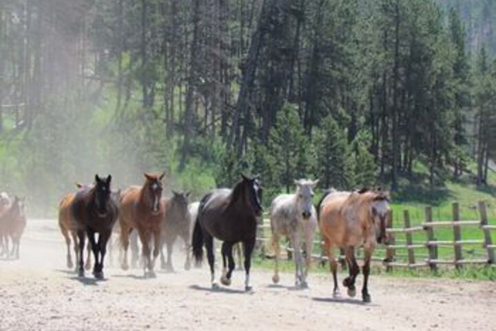 Water Sports 181 of 193