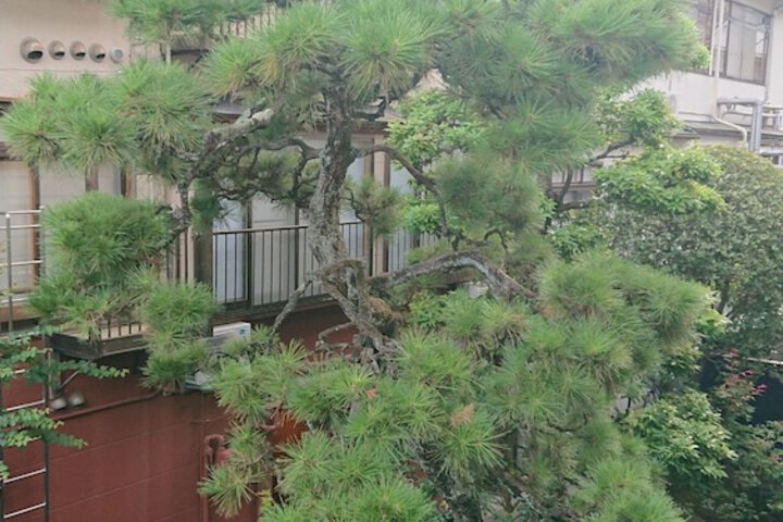 View from room