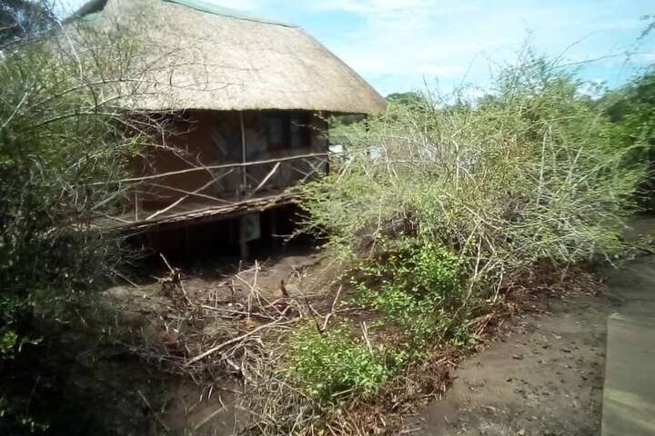 Exterior of Mophy Budget Safari Lagoon Camp