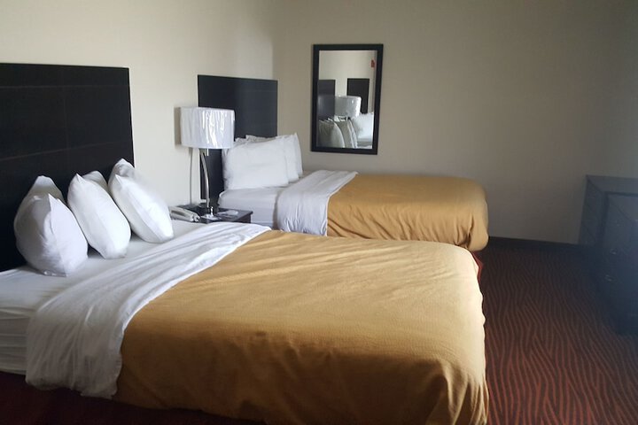 1 King Bed Studio Suite (9 of 20)