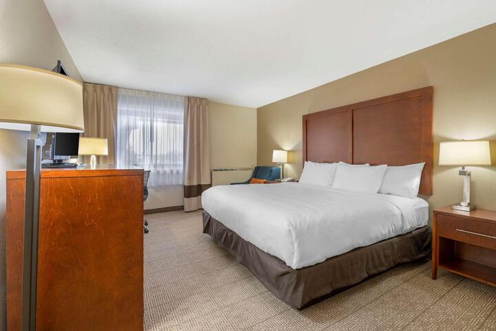 Standard King Bed Accessible (7 of 18)