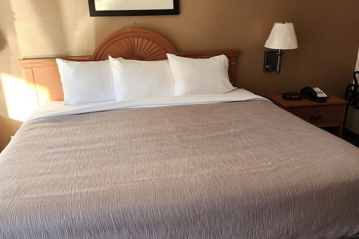 1 King Bed (6 of 11)