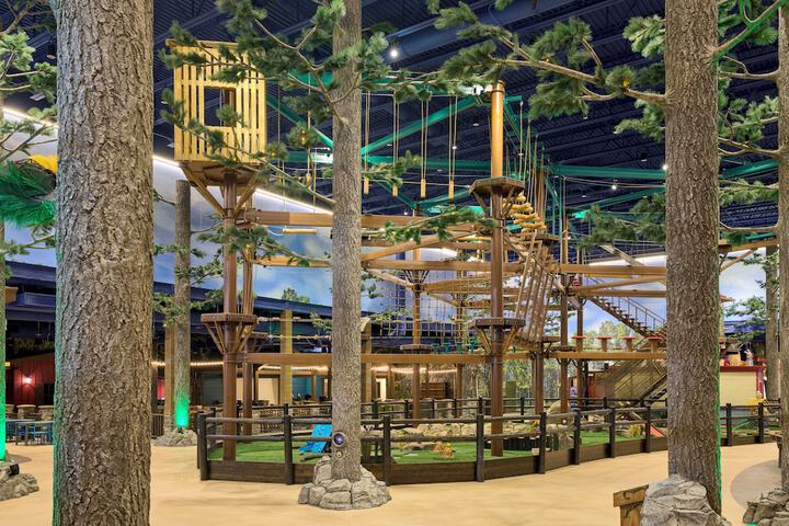 Ropes course (team building)