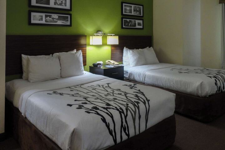 2 Double Beds (3 of 4)