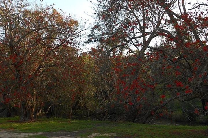 Property Grounds 24 of 29
