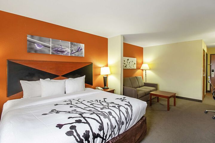 1 King Bed (2 of 15)