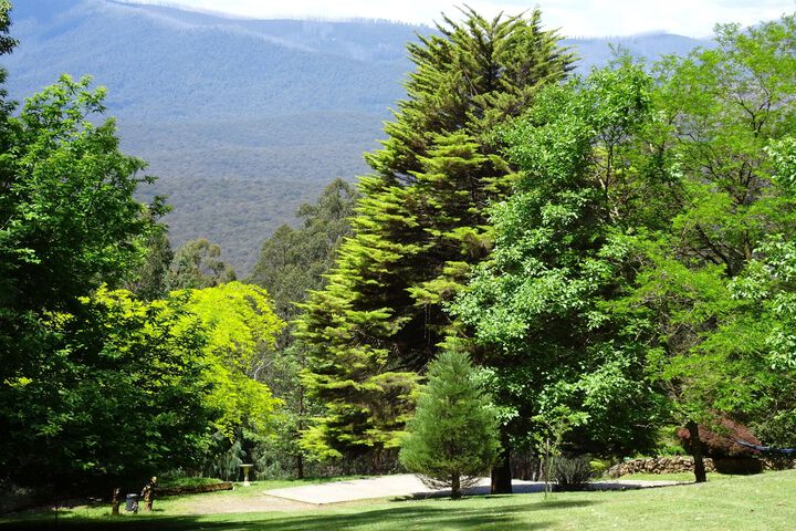 Property Grounds 28 of 36