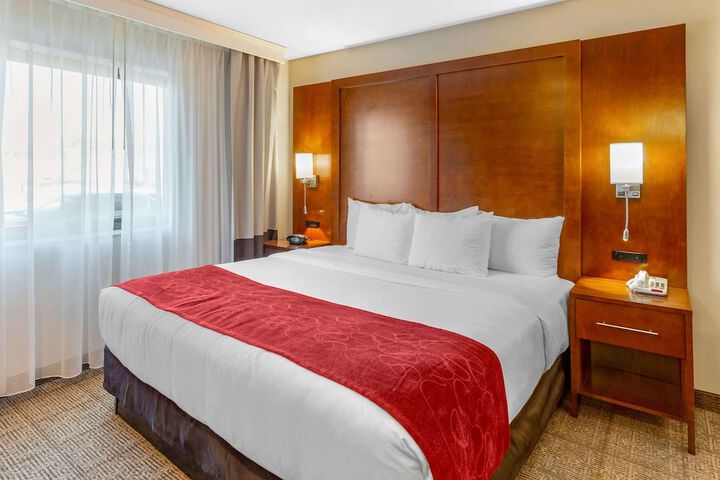 1 King Bed Suite (6 of 14)
