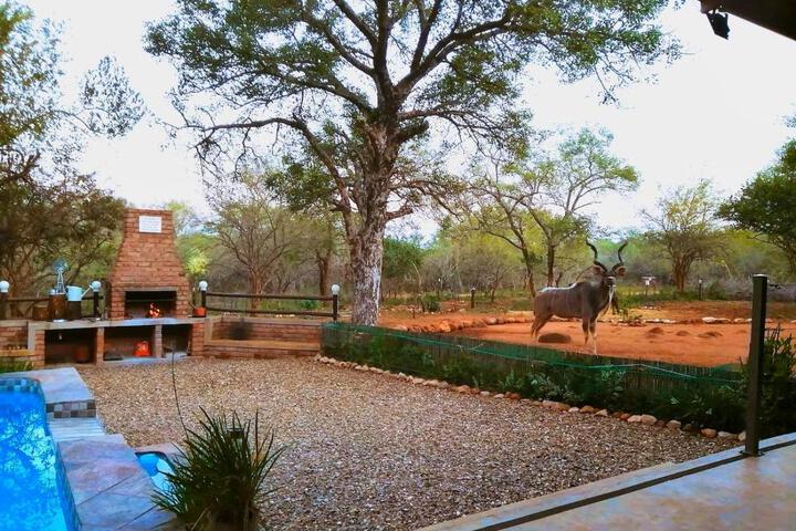 Flight of the Eagle at Kruger