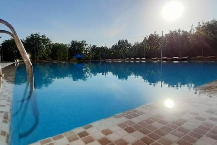 Pool 12 of 25