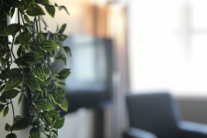 Room 6 of 46