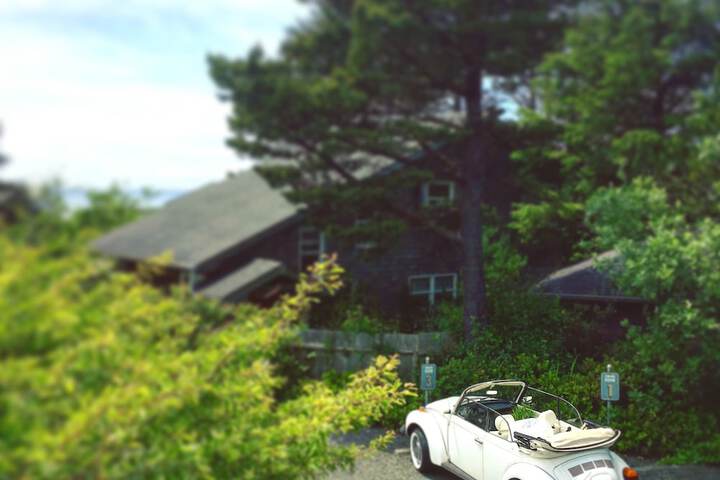 Property Grounds 83 of 93