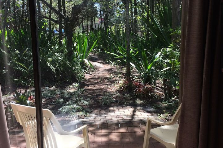 View from room