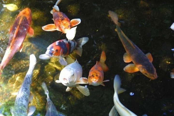 Property Grounds 34 of 35