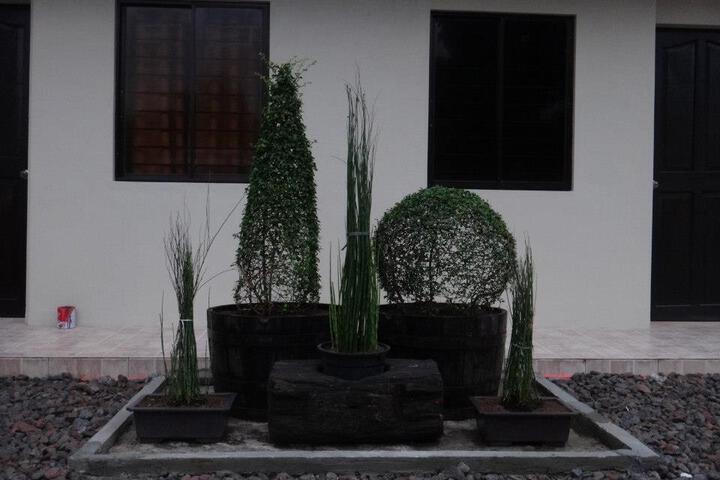 Image of D House Hotel