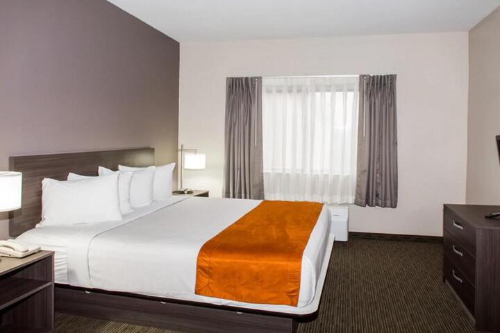 1 King Bed (8 of 10)